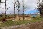 Photo of Northern Marianas College project site.