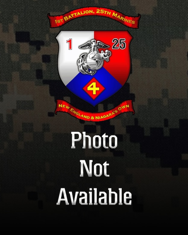 Alpha Co., 1st Battalion, 25th Marine Regiment