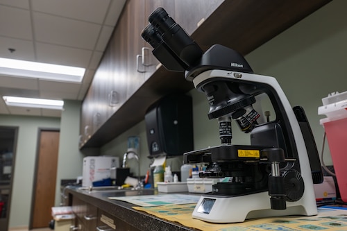 A black microscope sitting on a desk with the background of a veterinary clinic.