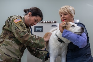 Woman on the left is in a military uniform, checking a dog with a stethoscope. Lady on the left is holding a white dog.