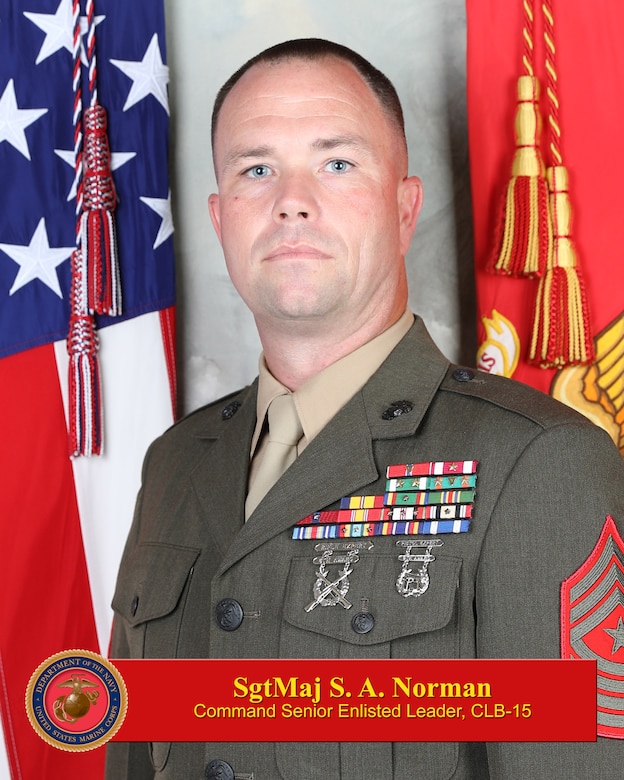 BIO PHOTO FOR SERGEANT MAJOR STEVEN A. NORMAN (WITH TEXT BOX)