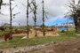 Photos of Northern Marianas College project site.
