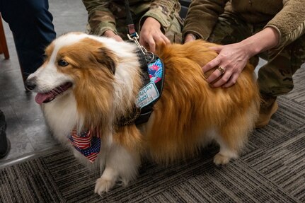 Ashoka, a certified therapy dog, visits the 171st Air Refueling Wing near Pittsburgh, Pennsylvania, July 8, 2026. Ashoka's visit helped boost morale and reduce stress among the Guardsmen who are responsible for maintaining the wings mission readiness. (U.S. Air National Guard photo by Tech. Sgt. Rebecca A. Wirth)