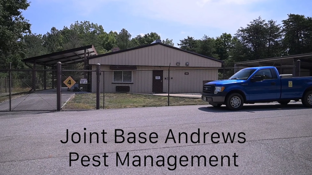 A video about pest management