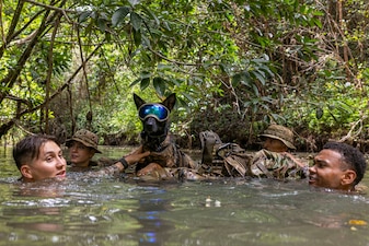 U.S. Army military working dog handlers, assigned to the 520th MWD detachment, 728th Military Police Battalion, 8th MP Brigade, 8th Theater Sustainment Command, push MWD Donna on a raft made of rucksacks during a condensed jungle operations training course at the Lightning Academy in Wahiawa, Hawaii, June 25, 2026.
