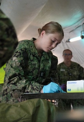 U.S. Navy Lt. Carolyn Capps, critical care nurse with Expeditionary Medical Facility (EMF) Bethesda, records vital clinical details during a simulated mass casualty scenario within an EMF. Meticulous real-time documentation of patient care treatment is a critical command and control requirement, enabling patient administration and the command triad to maintain an accurate operational picture and safely regulate casualties through the chain of command. (U.S. Navy photo by Petty Officer 1st Class Jessica Seagraves)