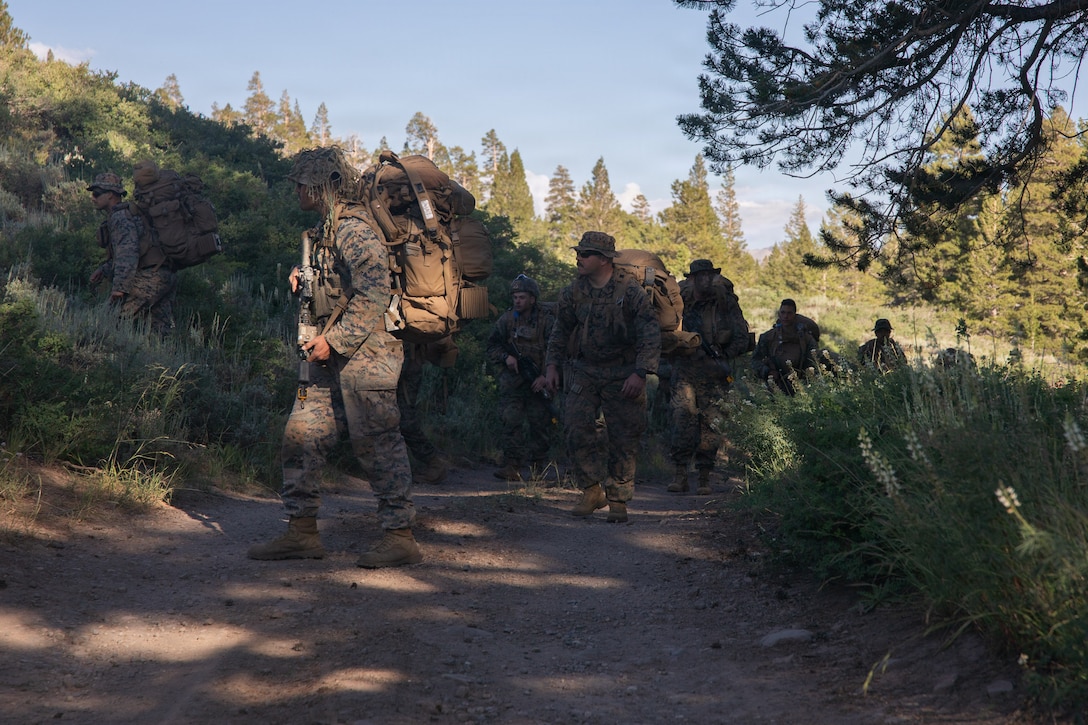 U.S. Marines with Headquarters and Service Company, 3rd Battalion, 25th Marine Regiment, 4th Marine Division, hike during Mountain Training Exercise (MTX) 26-3 at Marine Corps Mountain Warfare Training Center, Bridgeport, California, July 15, 2026. MTX is an annual two-week training evolution that is designed to strengthen unit cohesion and prepare the battalion for rapid mobilization in support of future global operations. (U.S. Marine Corps photo by Cpl. Orion Stpierre)