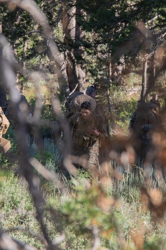 A U.S. Marine with Headquarters and Service Company,3rd Battalion, 25th Marine Regiment, 4th Marine Division, posts for security during Mountain Training Exercise (MTX) 26-3 at Marine Corps Mountain Warfare Training Center, Bridgeport, California, July 15, 2026. MTX is an annual two-week training evolution that is designed to strengthen unit cohesion and prepare the battalion for rapid mobilization in support of future global operations. (U.S. Marine Corps photo by Cpl. Orion Stpierre)