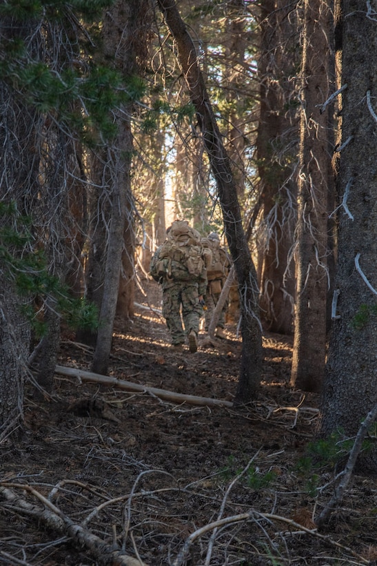 A U.S. Marine with Headquarters and Service Company, 3rd Battalion, 25th Marine Regiment, 4th Marine Division, hikes during Mountain Training Exercise (MTX) 26-3 at Marine Corps Mountain Warfare Training Center, Bridgeport, California, July 15, 2026. MTX is an annual two-week training evolution that is designed to strengthen unit cohesion and prepare the battalion for rapid mobilization in support of future global operations. (U.S. Marine Corps photo by Cpl. Orion Stpierre)