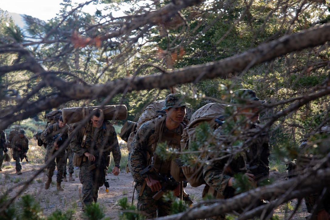 U.S. Marines with Headquarters and Service Company, 3rd Battalion, 25th Marine Regiment, 4th Marine Division, hike during Mountain Training Exercise (MTX) 26-3 at Marine Corps Mountain Warfare Training Center, Bridgeport, California, July 15, 2026. MTX is an annual two-week training evolution that is designed to strengthen unit cohesion and prepare the battalion for rapid mobilization in support of future global operations. (U.S. Marine Corps photo by Cpl. Orion Stpierre)