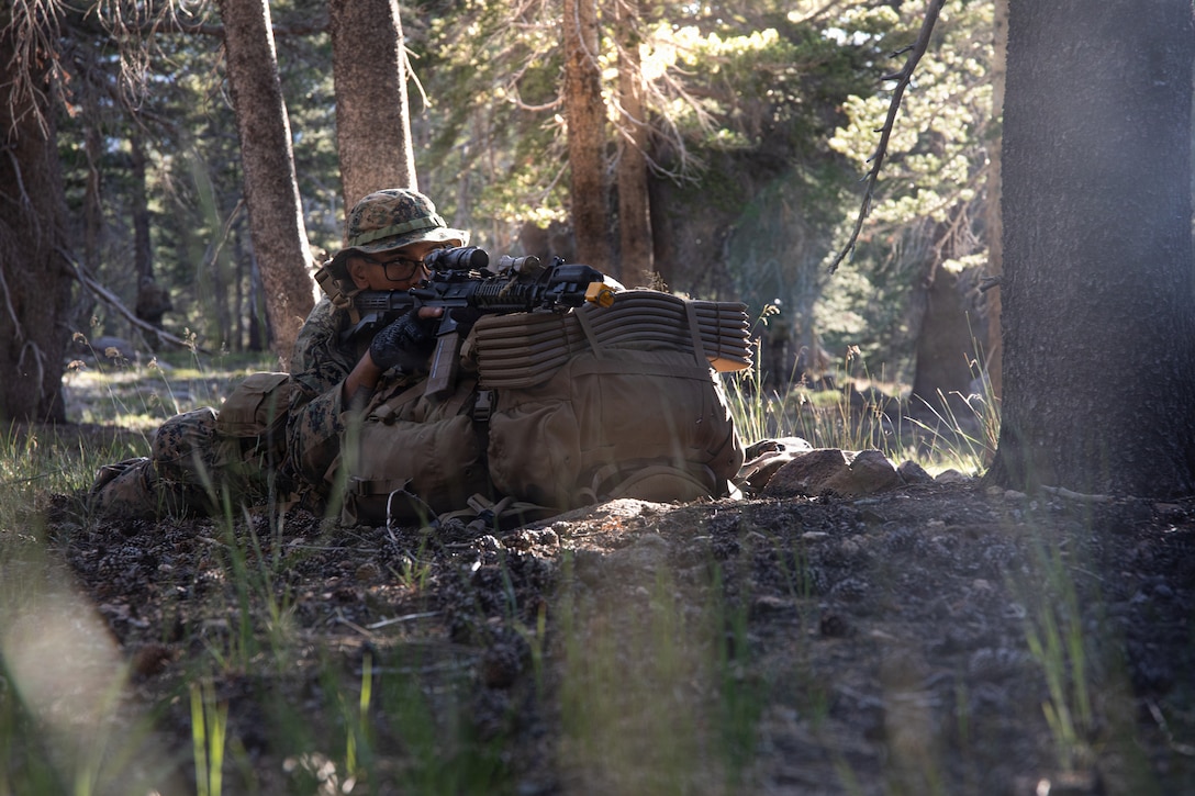 U.S. Marine Corps Lance Cpl. Dmitrius Smith, a rifleman with Headquarters and Service Company, 3rd Battalion, 25th Marine Regiment, 4th Marine Division, posts for security during Mountain Training Exercise (MTX) 26-3 at Marine Corps Mountain Warfare Training Center, Bridgeport, California, July 15, 2026. MTX is an annual two-week training evolution that is designed to strengthen unit cohesion and prepare the battalion for rapid mobilization in support of future global operations. (U.S. Marine Corps photo by Cpl. Orion Stpierre)