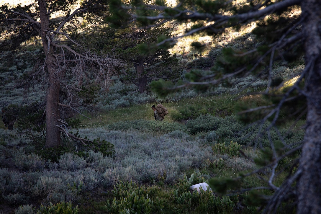 A U.S. Marine with Headquarters and Service Company, 3rd Battalion, 25th Marine Regiment, 4th Marine Division, hikes during Mountain Training Exercise (MTX) 26-3 at Marine Corps Mountain Warfare Training Center, Bridgeport, California, July 15, 2026. MTX is an annual two-week training evolution that is designed to strengthen unit cohesion and prepare the battalion for rapid mobilization in support of future global operations. (U.S. Marine Corps photo by Cpl. Orion Stpierre)