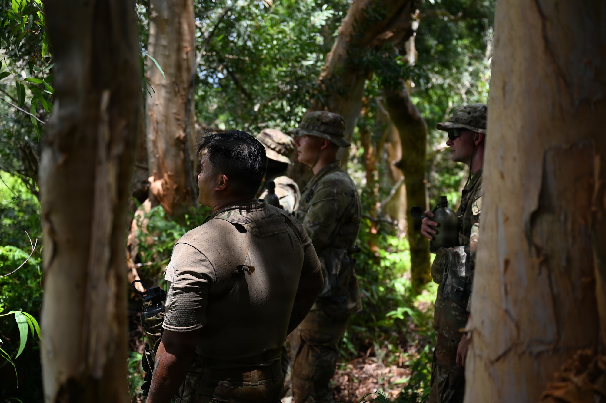 1st Lt. Kyle Mackerig, a guest jungle instructor from the 820th Base Defense Group at Moody Air Force Base, Georgia, leads a small group of Security Forces Airmen through the jungle terrain during annual training at Schofield Barracks, Hawaii, July 13, 2026. The training challenges Airmen to strengthen tactical proficiency, teamwork and expeditionary readiness while operating in unfamiliar terrain and austere conditions. (U.S. Air National Guard photo by Tech. Sgt. Tiffany Scofield)