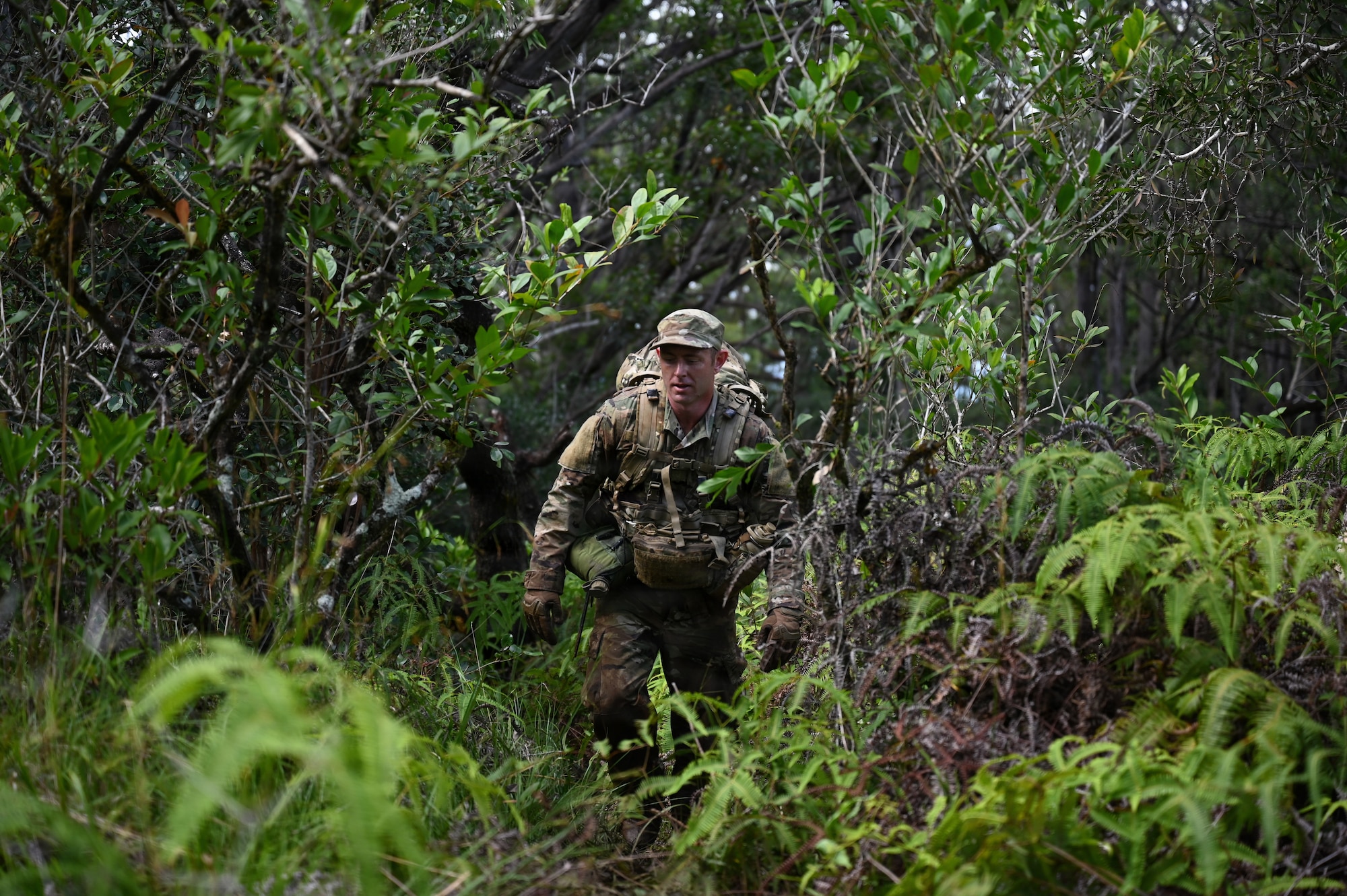 A Security Forces Airman assigned to the Ohio Air National Guard's 178th Security Forces Squadron hikes through the jungle during annual training at Schofield Barracks, Hawaii, July 13, 2026. The training challenges Airmen to strengthen tactical proficiency, teamwork and expeditionary readiness while operating in unfamiliar terrain and austere conditions. (U.S. Air National Guard photo by Tech. Sgt. Tiffany Scofield)