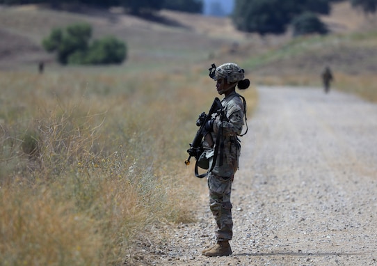 Forging the battlefield: Army Reserve engineers train with Volcano System at Operation Bold Eagle