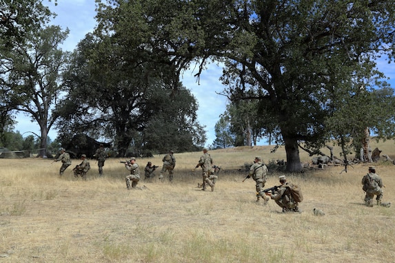 Forging the battlefield: Army Reserve engineers train with Volcano System at Operation Bold Eagle