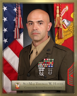 Portrait of Sergeant Major Thomas W. Hayes