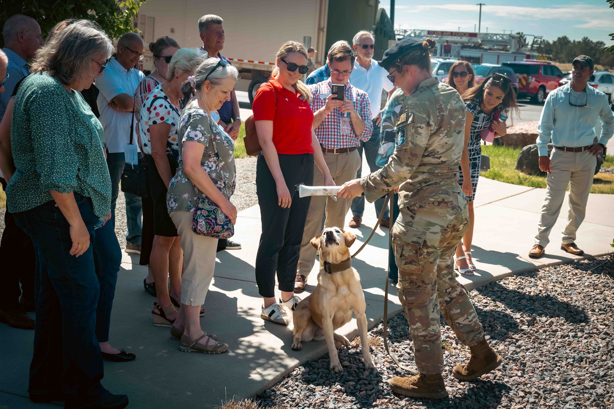 a crowd of people watch attend a briefing from a dog handler with their dog