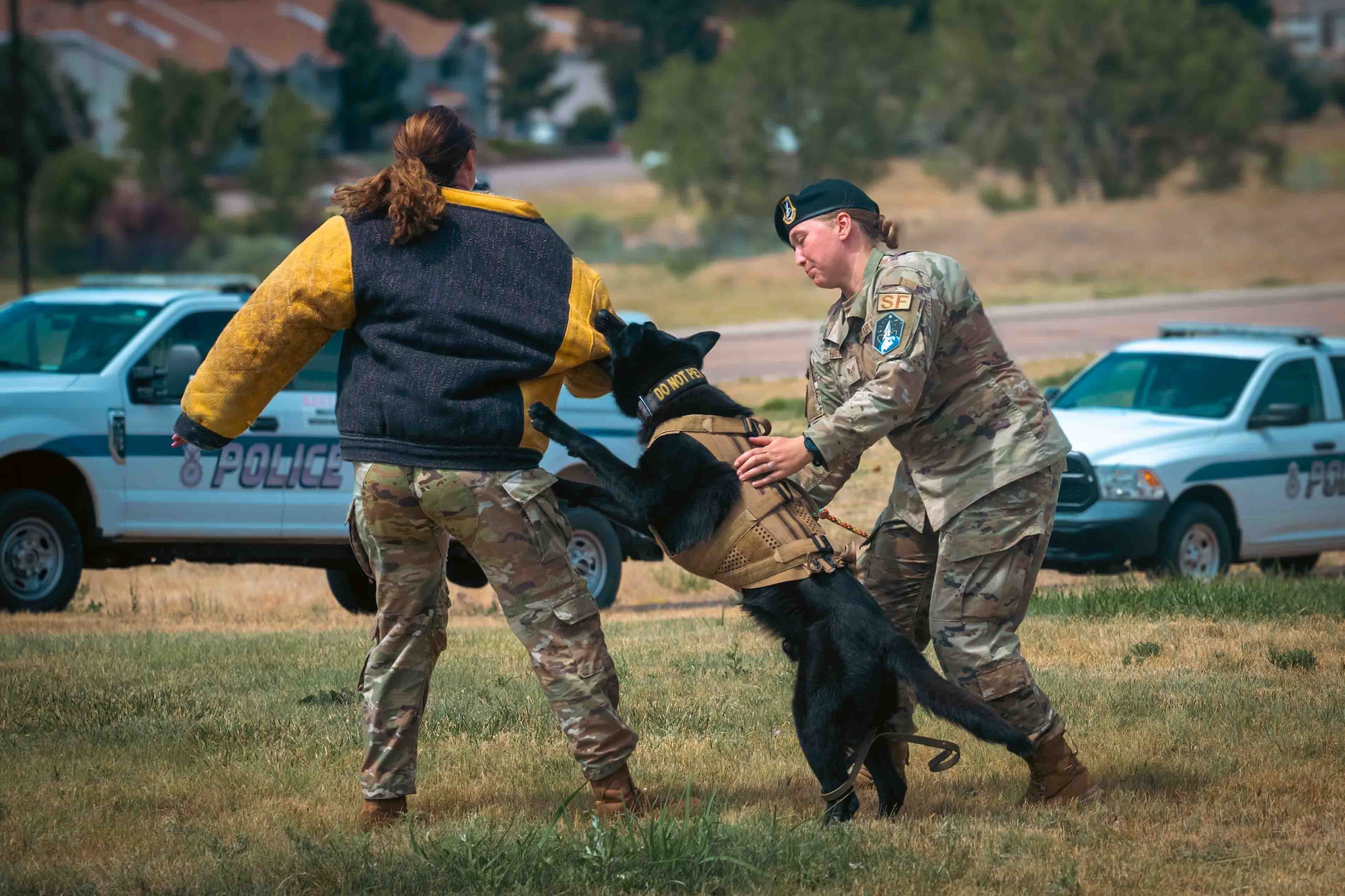 a military working dog bites a person in a padded suit while the handler controls the takedown