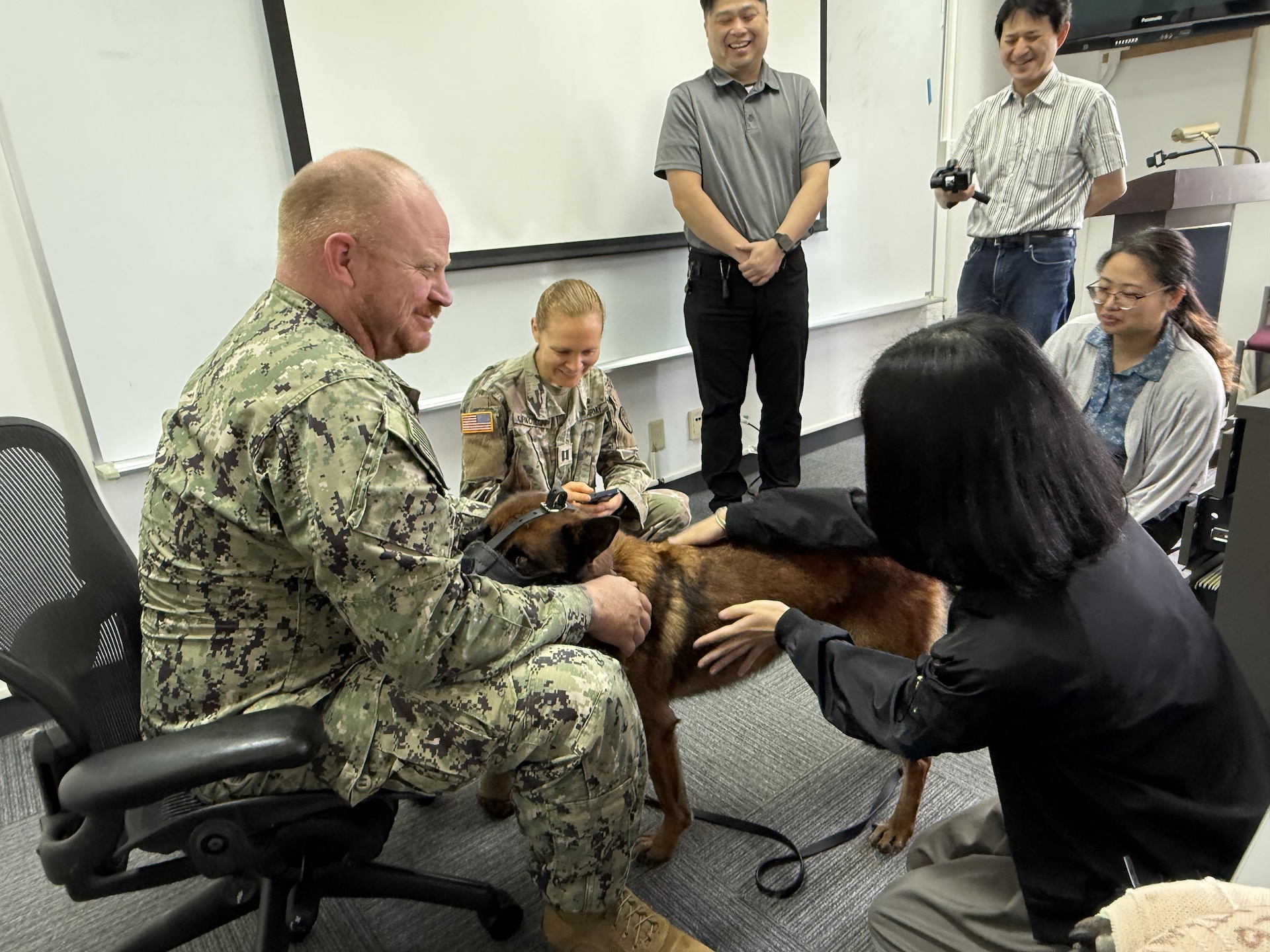 Army veterinary personnel at Camp Zama hosted a joint training event focused on tactical combat casualty care for military working dogs