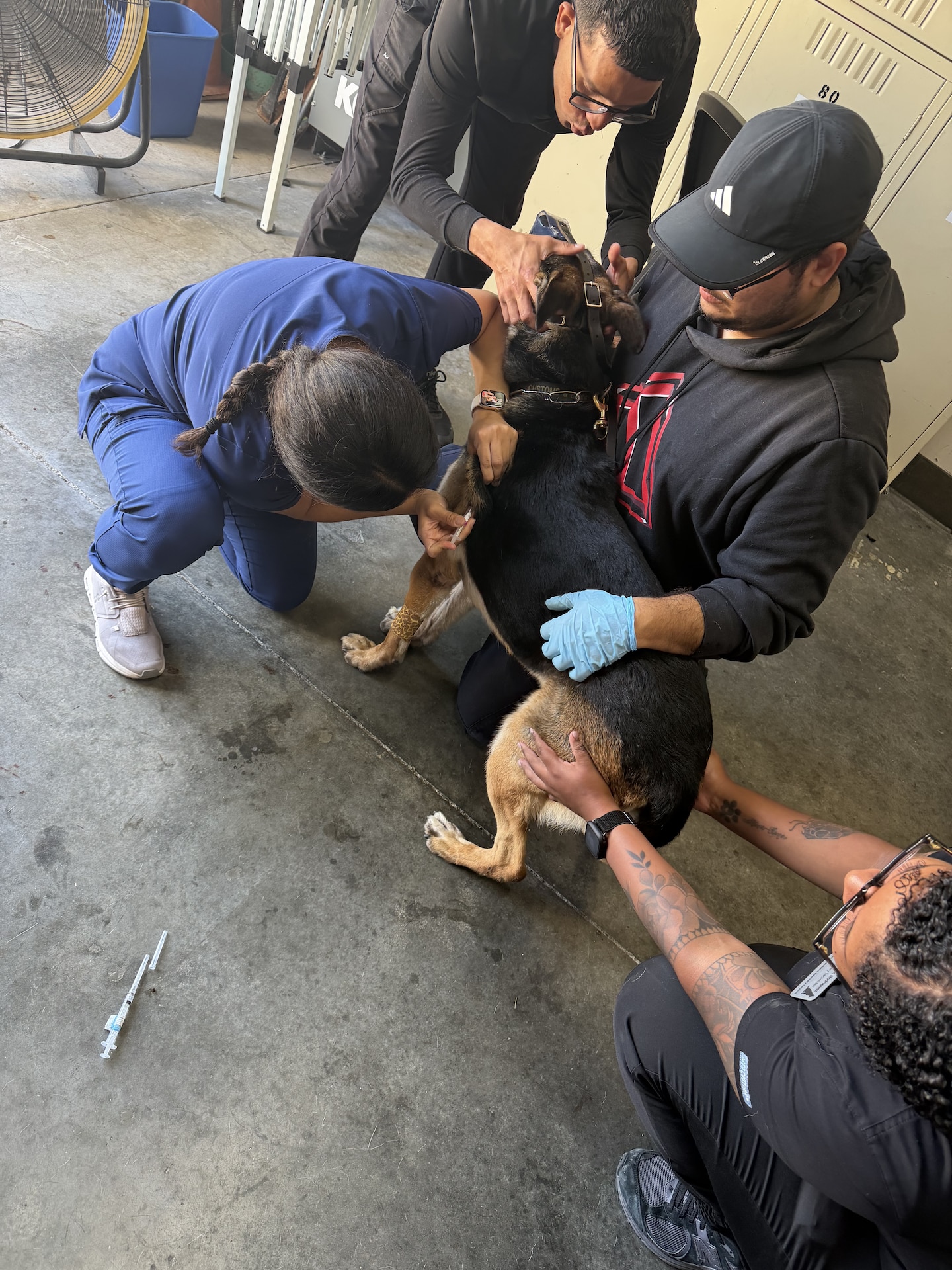 Soldiers carried out veterinary support operations focused on the care and readiness of horses used at the training center.