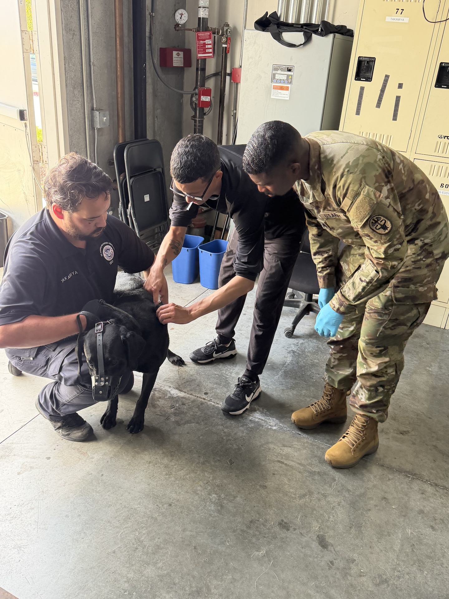 Soldiers carried out veterinary support operations focused on the care and readiness of horses used at the training center.
