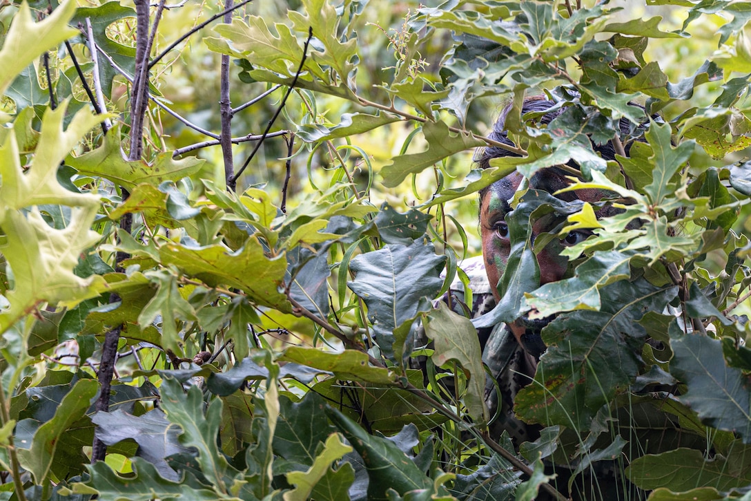 A Navy ROTC midshipman wearing camouflage paint blends in while peeking through green leaves.