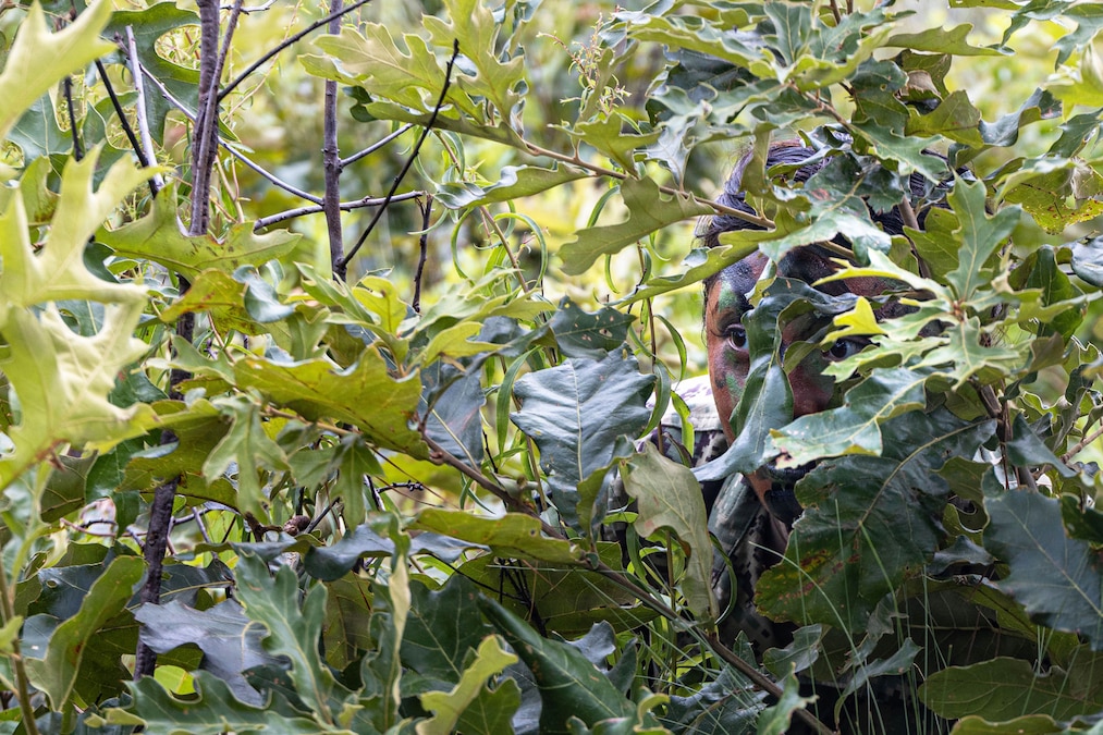 A Navy ROTC midshipman wearing camouflage paint blends in while peeking through green leaves.