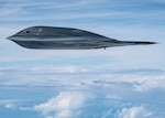 B-2 Bomber flying (nose facing left), surrounded by blue sky