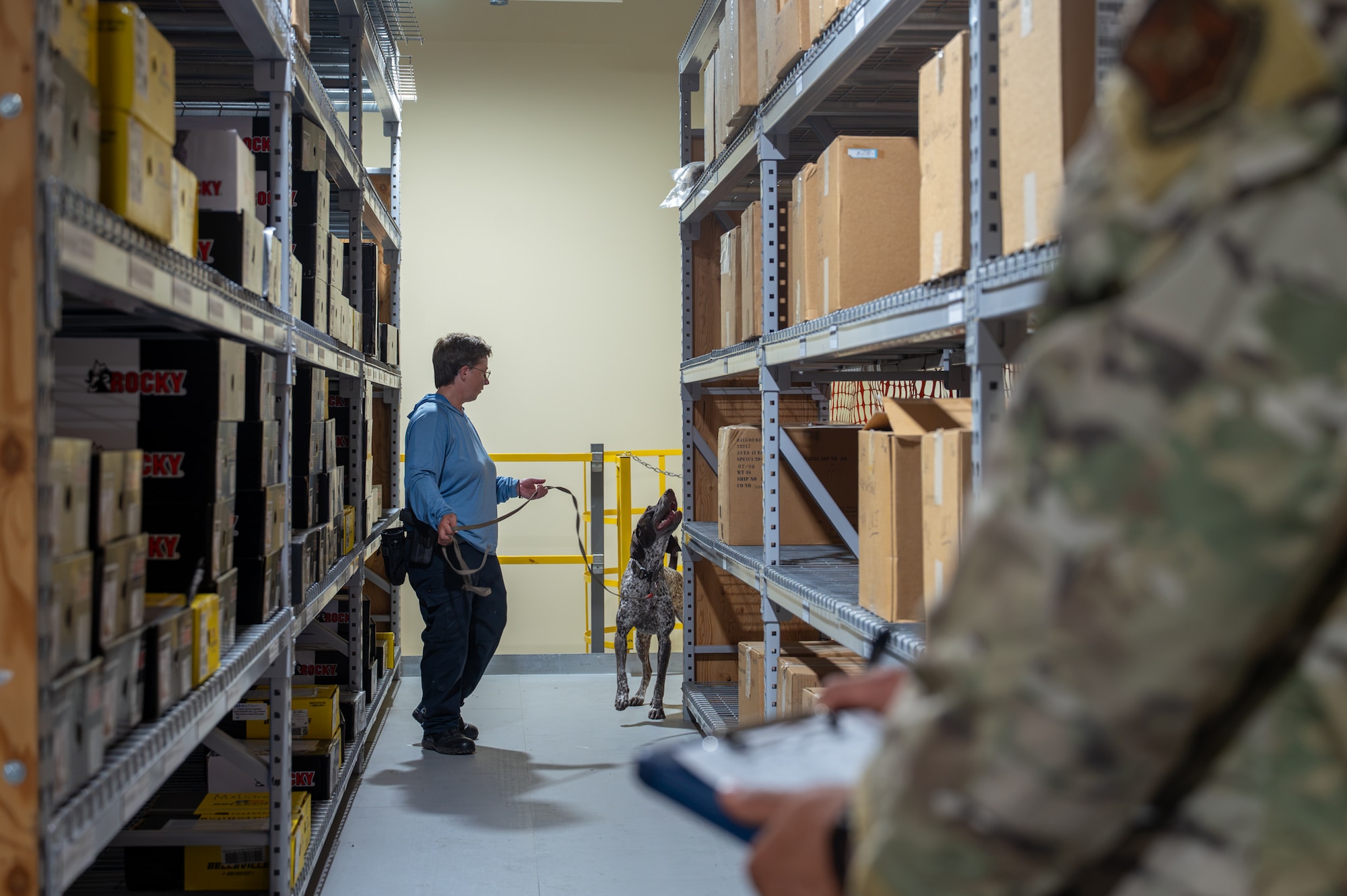A K-9 handler does detection work with her explosive detection dog.