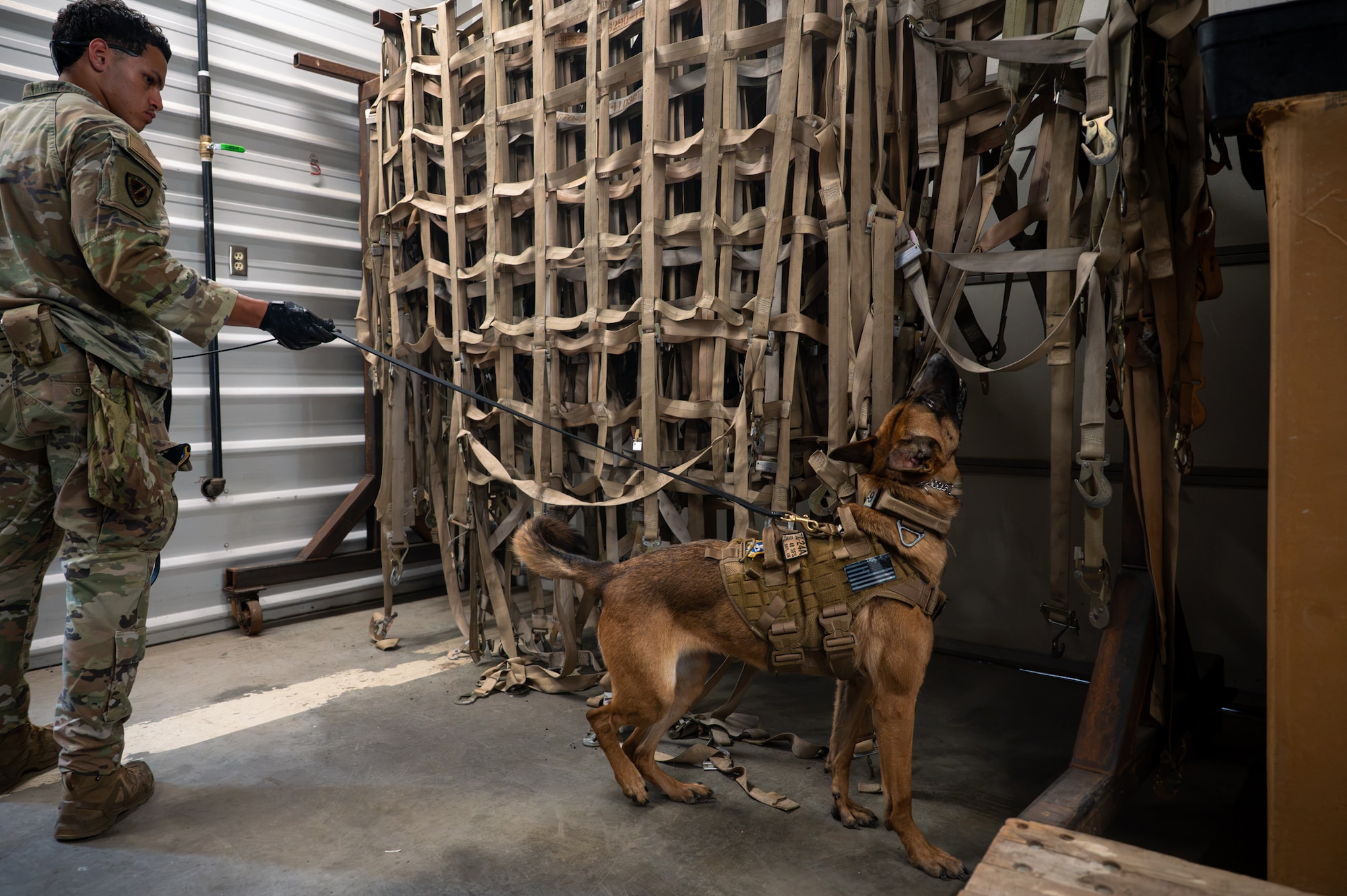 A military working dog handler does explosive detection training with his explosive detection dog.