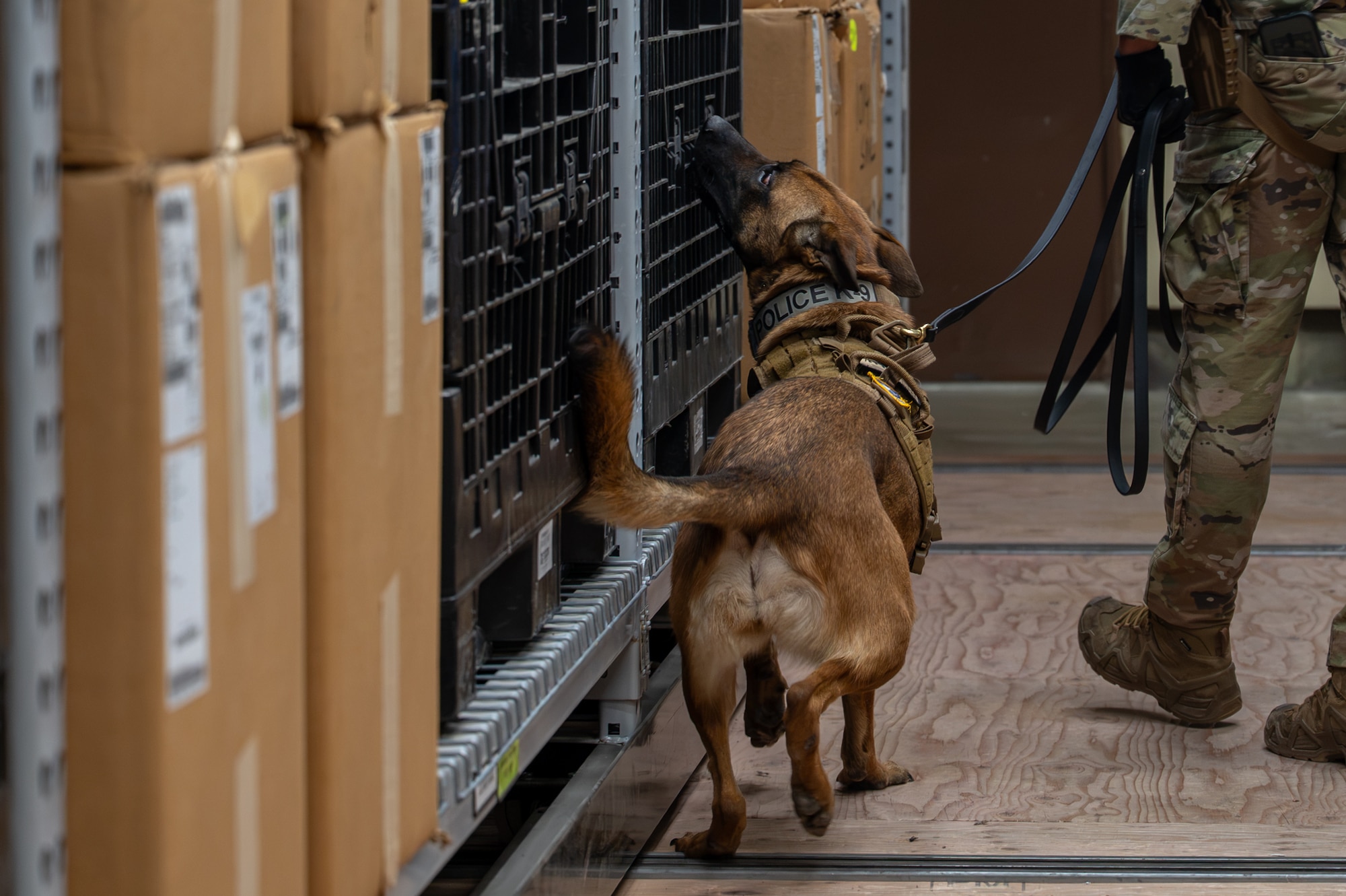 A military working dog handler does explosive detection training with his explosive detection dog.