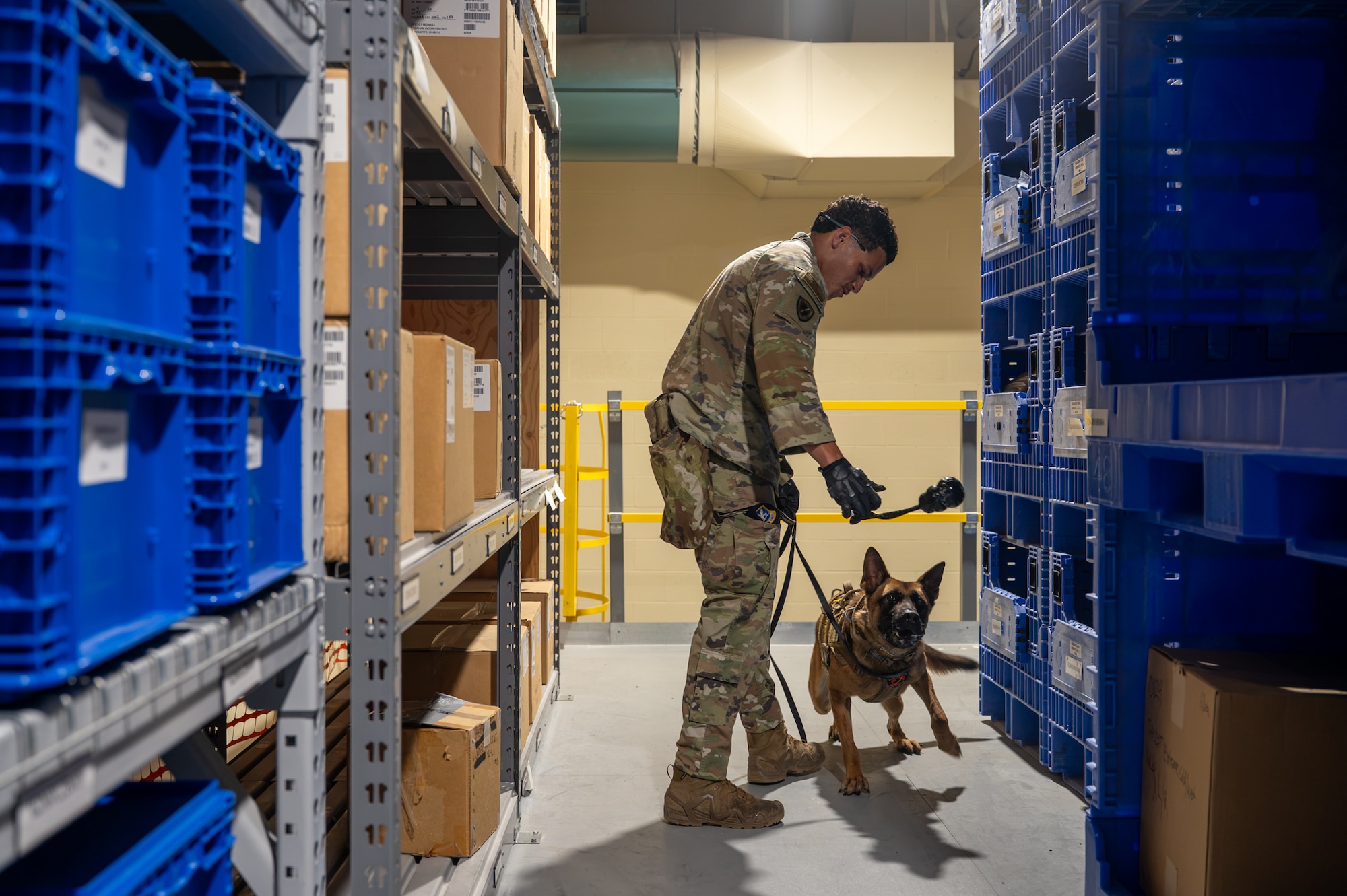 A military working dog handler gives his MWD a toy.