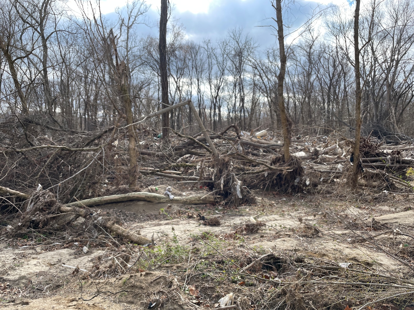 Storm debris from Tropical Storm Helene covers Jackson Island along the Nolichucky River in Tennessee, March 6, 2025. The U.S. Army Corps of Engineers is starting a mission to clear the island, which is a key public recreation area within the Cherokee National Forest, making it safer for public use. (Courtesy photo of USDA)