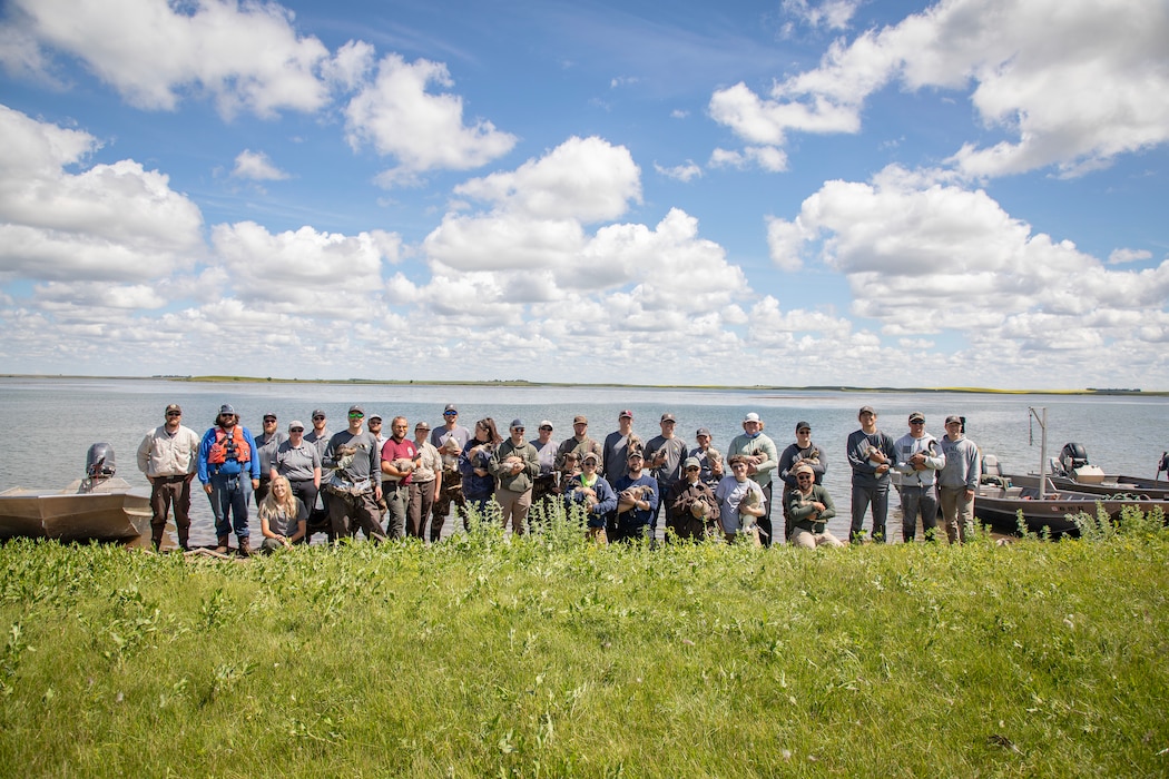 A photo of geese banding operations.