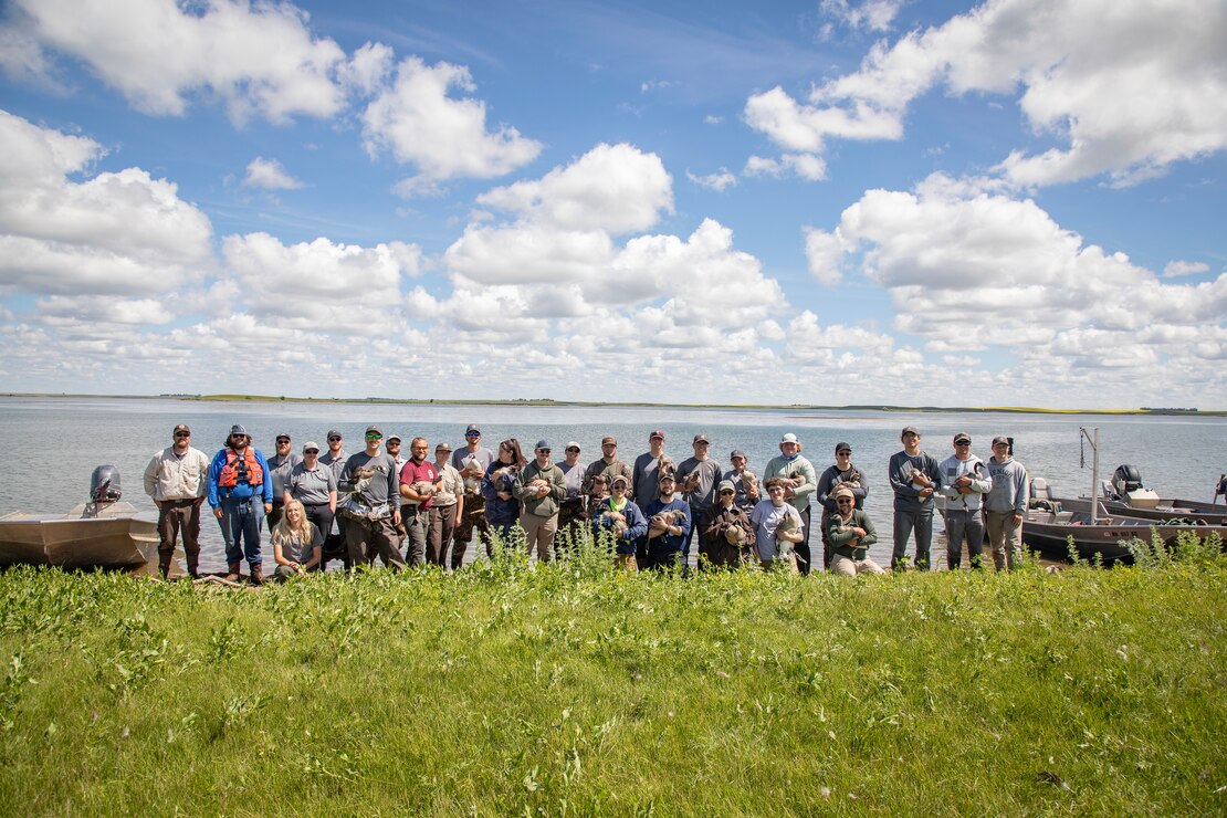 A photo of geese banding operations.