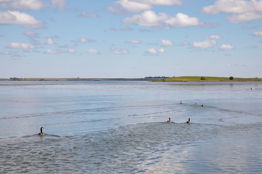 A photo of geese banding operations.