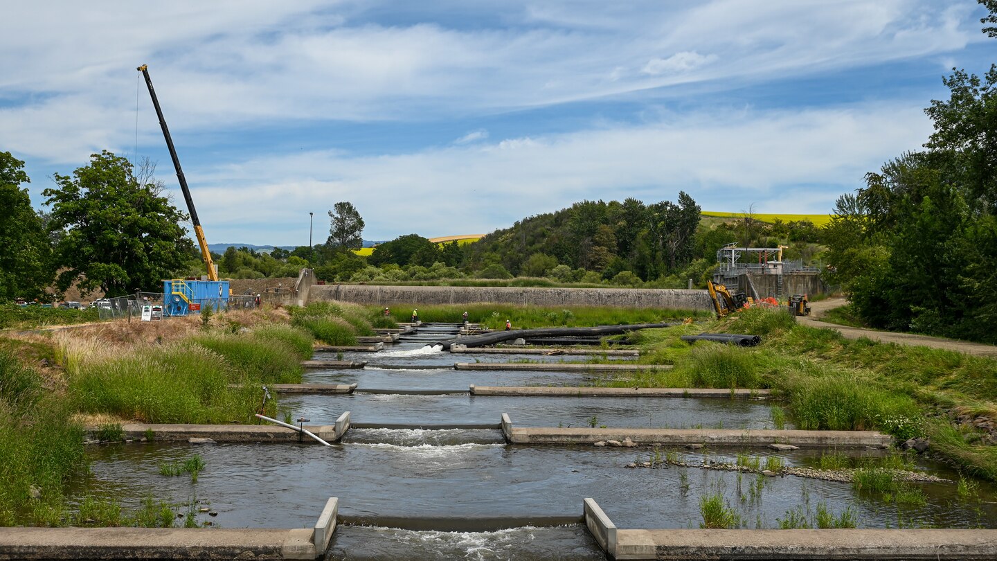 Newly constructed concrete retaining walls at the Mill Creek Fish Ladder Project, a project designed to improve fish passage and manage water flows.