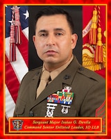 Sgt. Maj. Davila photo