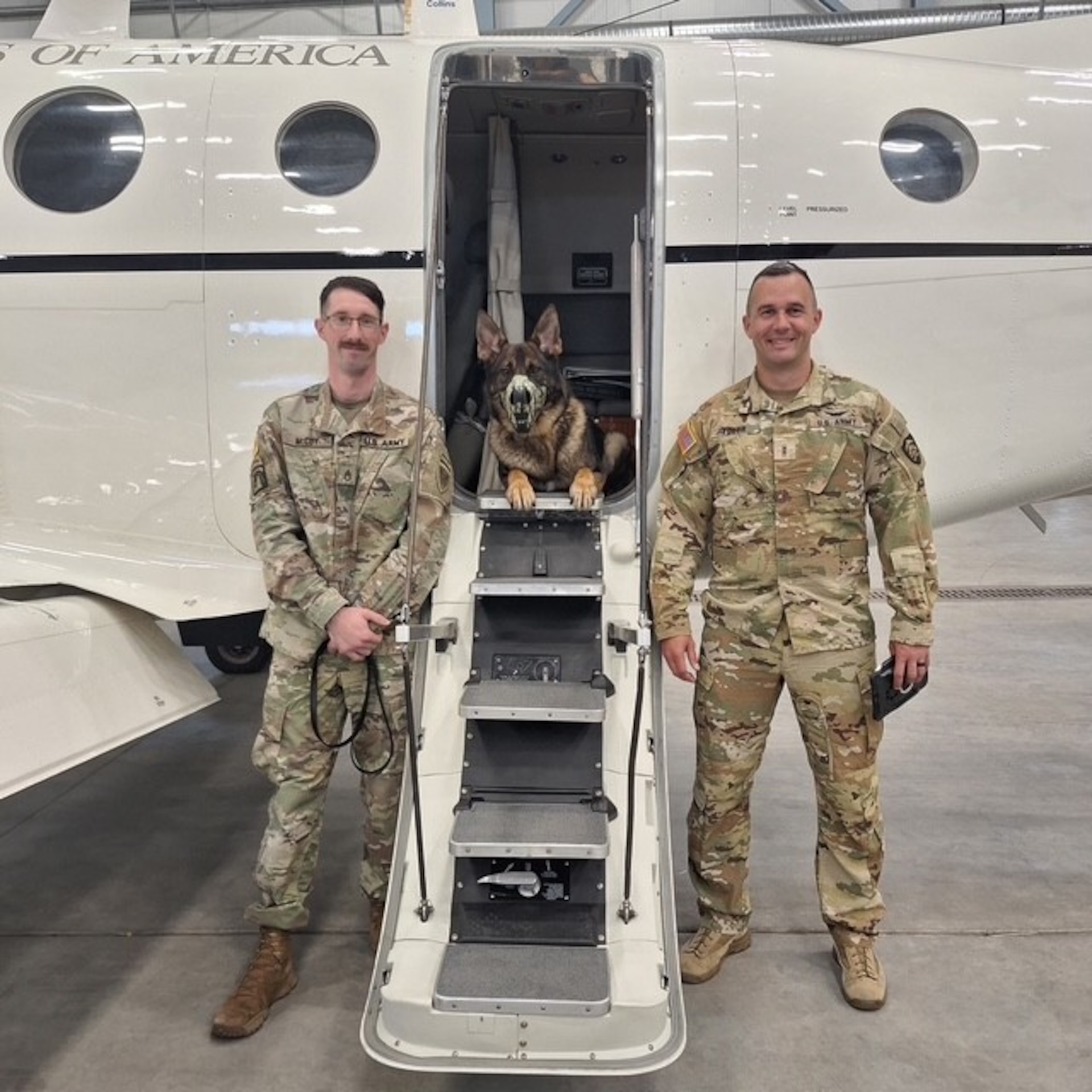 Army veterinary personnel at Joint Base Lewis-McChord carried out a complex emergency surgery