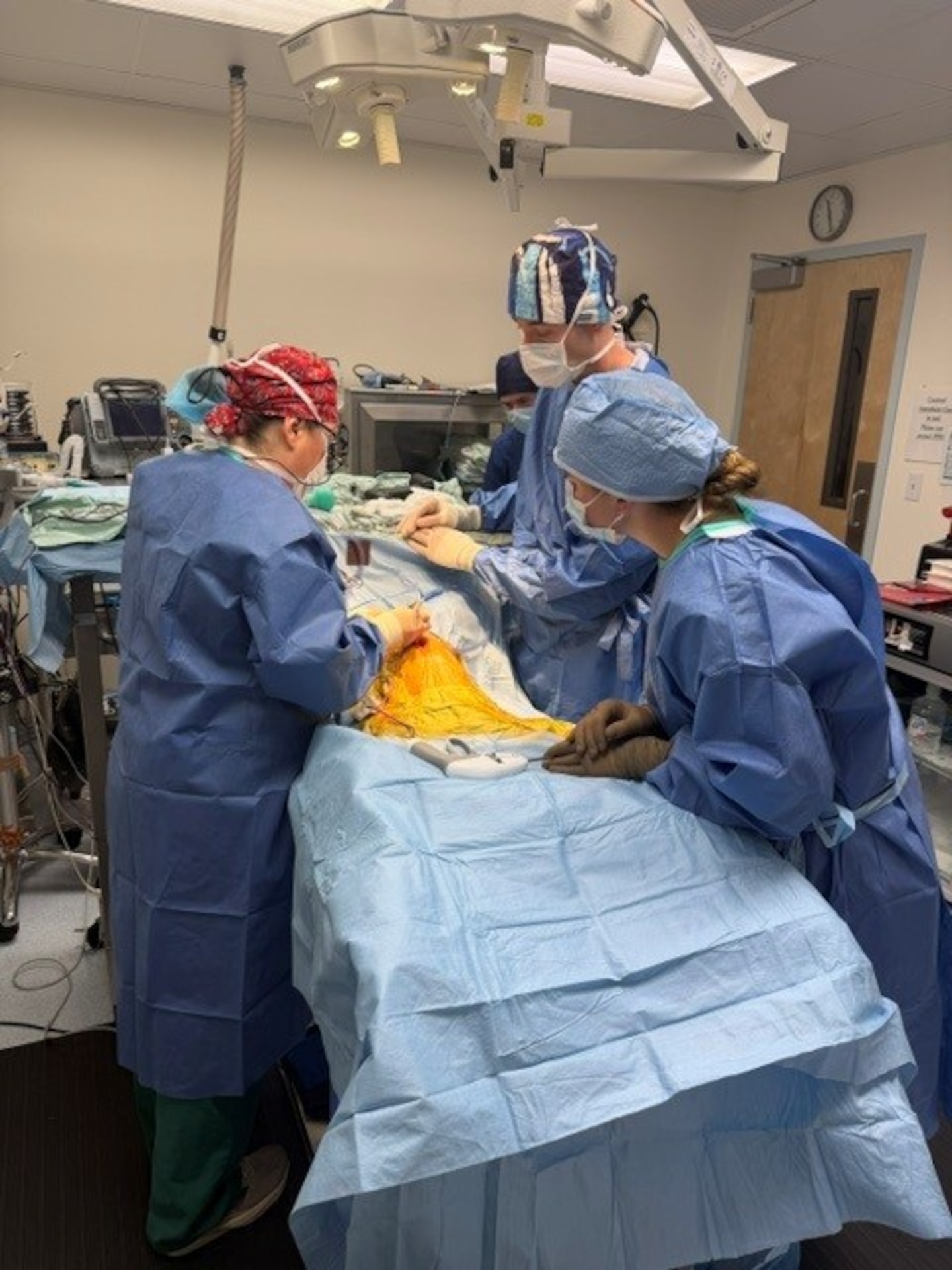 Army veterinary personnel at Joint Base Lewis-McChord carried out a complex emergency surgery