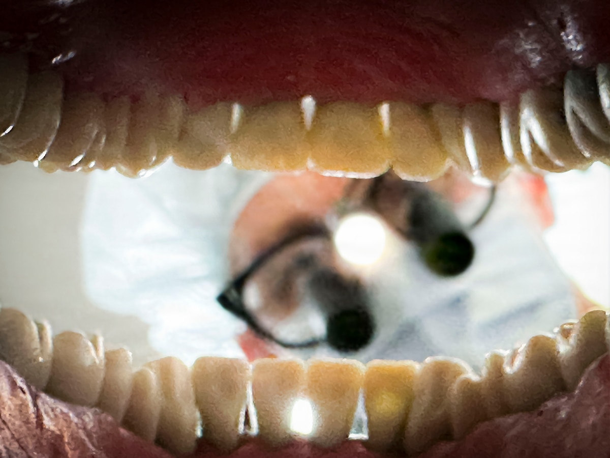 U.S. Air Force Lt. Col Brian Wilson, 35th Medical Group general dentist, examines a simulated patient’s oral cavity during a dental procedure at Misawa Air Base, Japan, July 28, 2026.