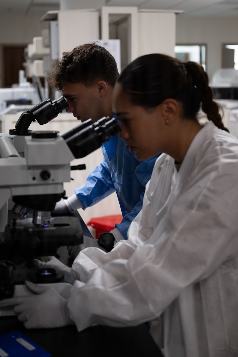 Two airmen look through a microscope to analyze laboratory samples.