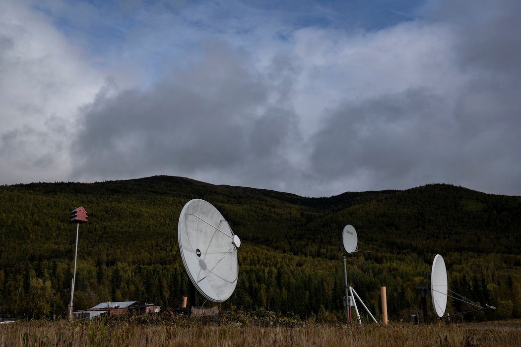 Satellite dishes in the woods