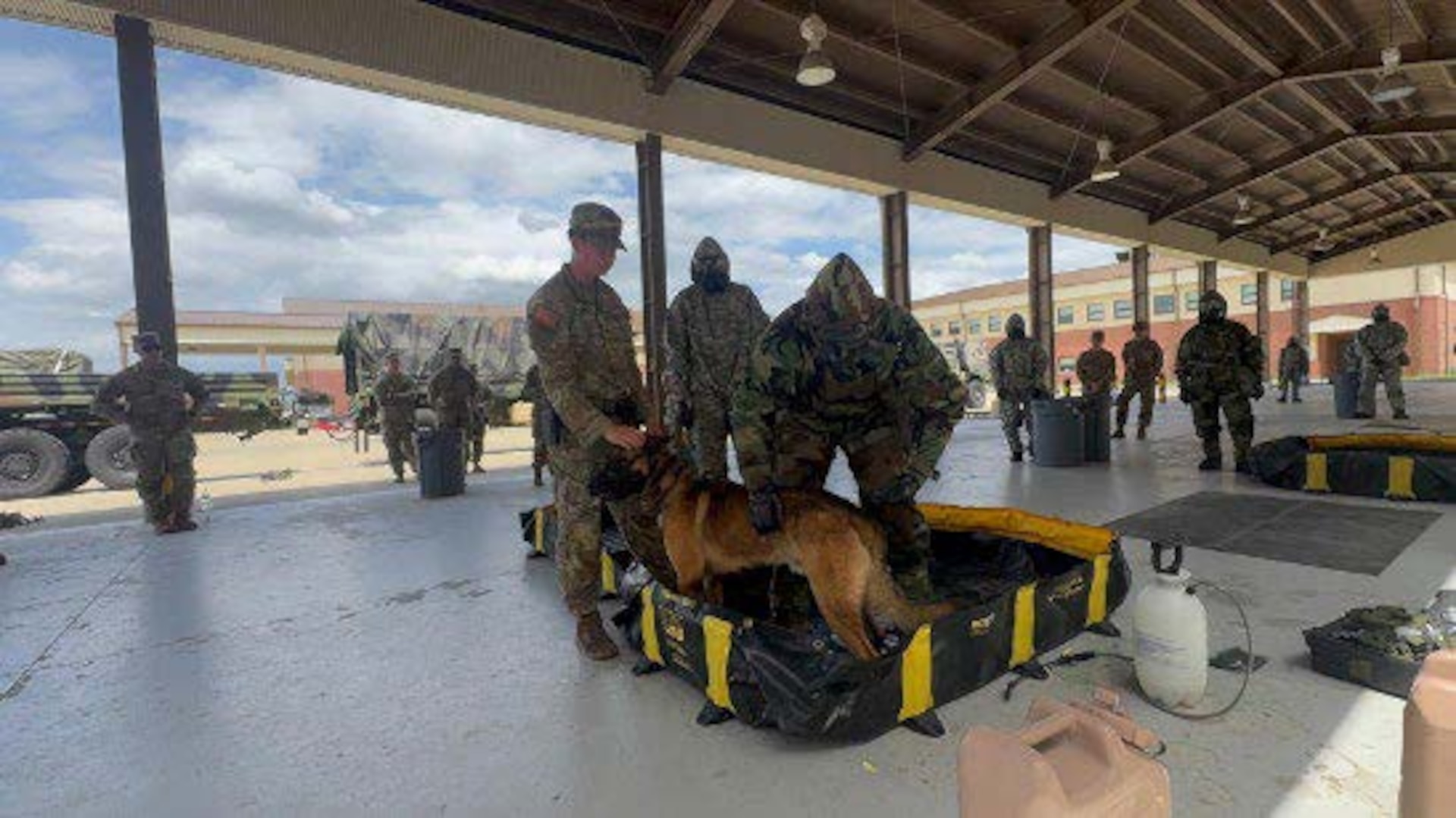 Army units in South Korea conducted joint training on the medical evacuation of military working dogs