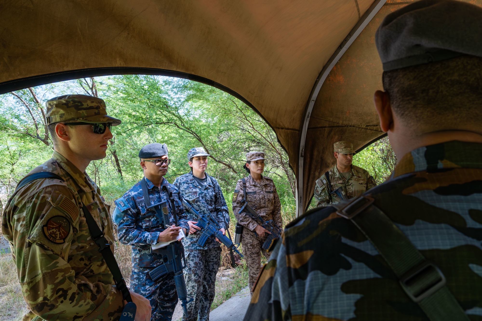 Photo of multinational airmen standing in a wooded area