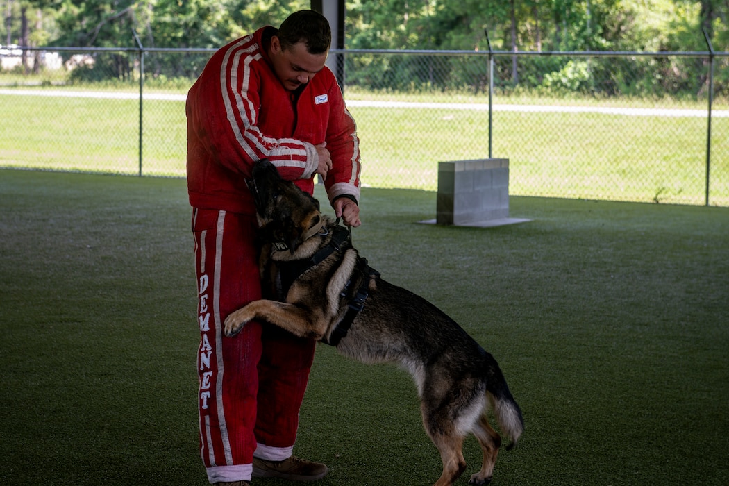 Dog handler and dog