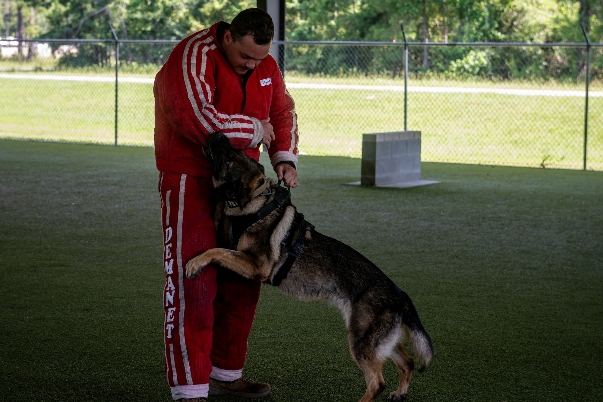 Dog handler and dog