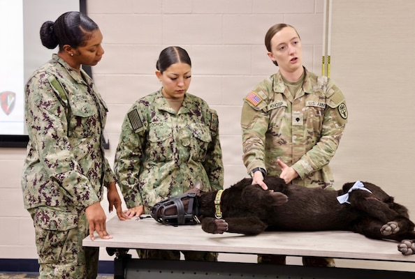Hospital Apprentice Halima Stewart (left) and Hospitalman Brianna Ochoa (center) receive instruction from Army Spc. Amelia Knosp, an animal care specialist assigned to the installation veterinary clinic, during a Canine Tactical Combat Casualty Care training course at Navy Medicine Readiness and Training Command Twentynine Palms, May 15, 2026. Led by Army veterinary personnel, the training introduced hospital corpsmen to canine trauma assessment, hemorrhage control, airway management and other lifesaving skills used to stabilize injured military working dogs in operational environments. (U.S. Navy photo by Christopher Jones, NH/NMRTC Twentynine Palms public affairs officer)