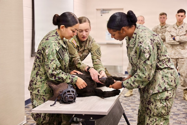 Hospitalman Brianna Ochoa (left) and Hospital Apprentice Halima Stewart (right) receive instruction from Army Spc. Amelia Knosp, an animal care specialist assigned to the installation veterinary clinic, during a Canine Tactical Combat Casualty Care training course at Navy Medicine Readiness and Training Command Twentynine Palms, May 15, 2026. Led by Army veterinary personnel, the training introduced hospital corpsmen to canine trauma assessment, hemorrhage control, airway management and other lifesaving skills used to stabilize injured military working dogs in operational environments. (U.S. Navy photo by Christopher Jones, NH/NMRTC Twentynine Palms public affairs officer)